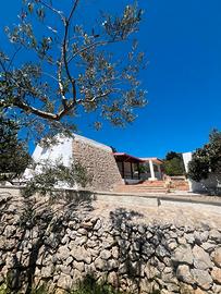 Pajara Salentina (TRULLO) nel verde in SALENTO
