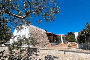 Pajara Salentina (TRULLO) nel verde in SALENTO