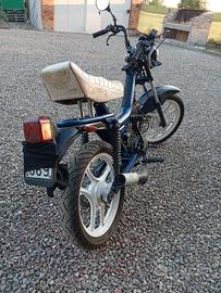Motron GL4