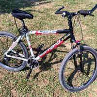 MTB Carraro