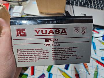 2 batterie al piombo