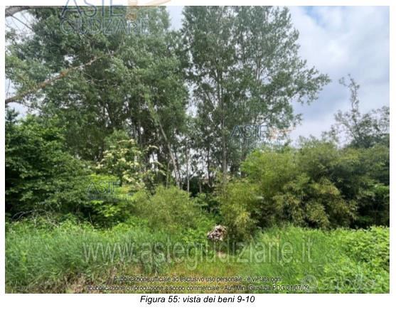Terreno Agricolo Cerrina Monferrato [A4356145] - Vista 4