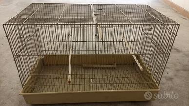 Gabbia uccelli