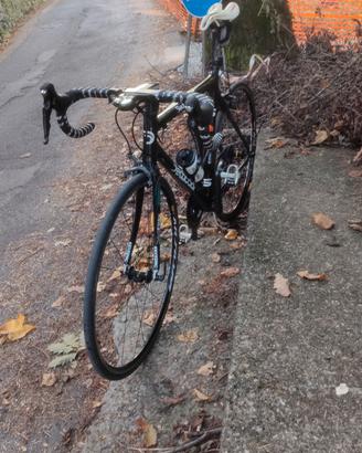Bici da strada Dedacciai