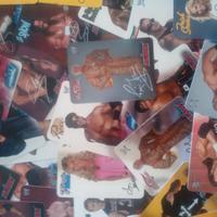 Wrestling WWE lamincards - Carte westling