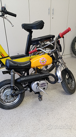 Minimoto Ancillotti d'epoca