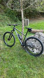 Mtb Focus 29” taglia L
