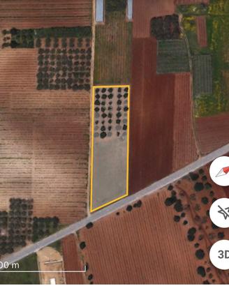 Terreno agricolo ed uliveto
