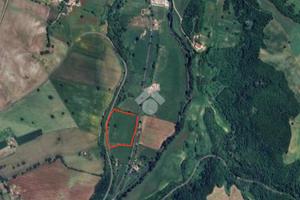 TER. AGRICOLO A CIVITA CASTELLANA