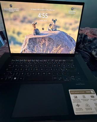 ASUS Zenbook 14 OLED UX3402 NOTEBOOK, 14