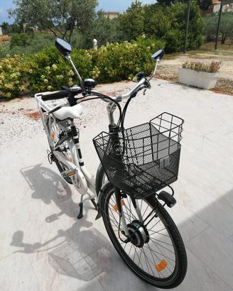 Bici elettrica 