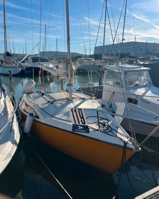 Barca a Vela - Alpa 19