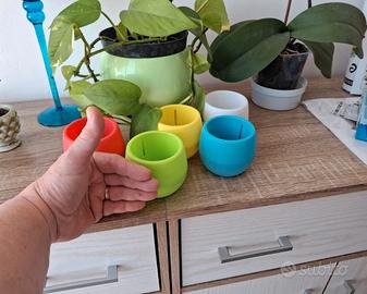 Vasi plastica 