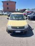 fiat-panda-1-2-emotion