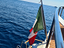 Immagine 9