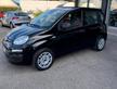 FIAT PANDA 1.2 BZ- 5 POSTI