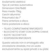 Mini grizzly elettrico