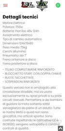 Mini grizzly elettrico