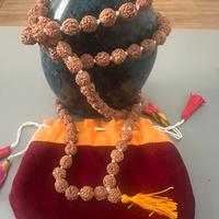 Mala in Rudraksha 108 perle