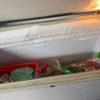 Freezer pozzetto industriale albergo presa normale