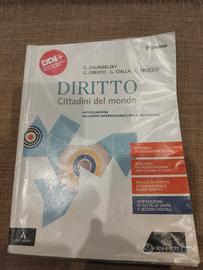 diritto cittadini del mondo