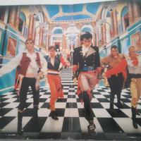 Lp in vinile ADAM AND THE ANTS