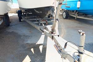 carrello omologato 