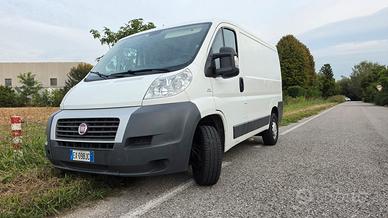 Fiat  aducato