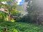 Immagine 14