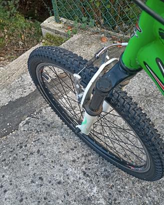 Bicicletta da bambino