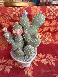 Cactus in porcellana