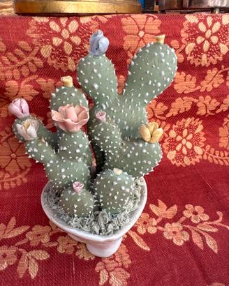 Cactus in porcellana