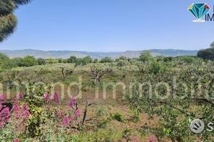 Terreno agricolo 3.200mq zona doc a castiglione