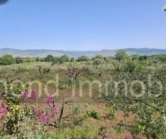Terreno agricolo 3.200mq zona doc a castiglione