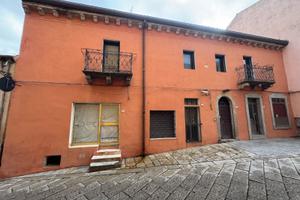 Immobile calangianus