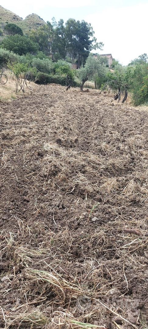 Terreno in contrada Sorgiva a Scillato - Vista 2