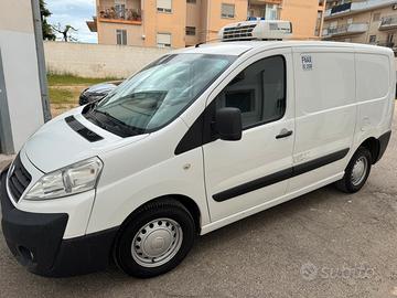 Fiat scudo coibentato frigo