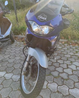 moto Honda Transalp 650
