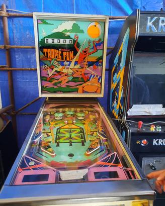 flipper