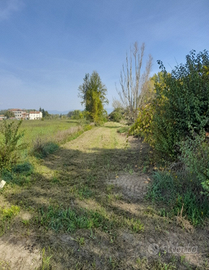 Terreno agricolo