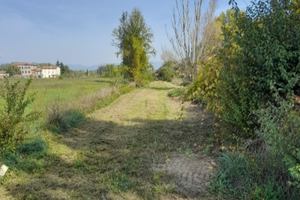 Terreno agricolo
