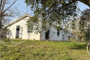 Casa Indipendente Gavorrano [Cod. rif 3389822VRG]
