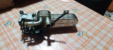 Scambiatore Egr