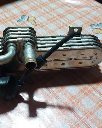 Scambiatore Egr