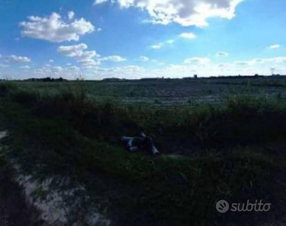 Immobile in asta di 29104 m² a Roverchiara - Vista 5
