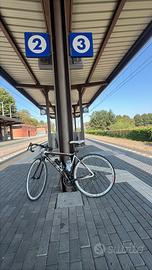 Bici da corsa Carraro cambio campagnolo
