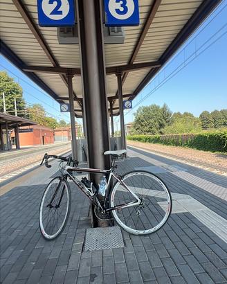 Bici da corsa Carraro cambio campagnolo