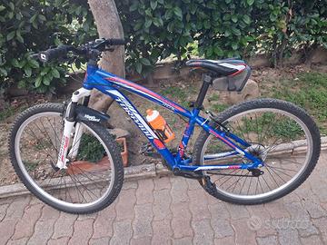 Mtb Torpado 27,5