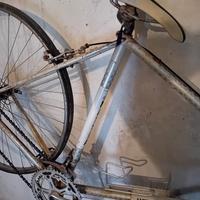 bici da corsa Antonello mattia