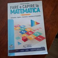 fare e capire la matematica 